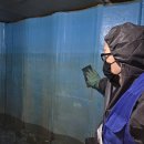 니꼴빌딩 이미지