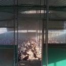 고려농장 이미지