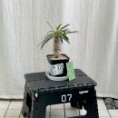 벌말로185번길 이미지