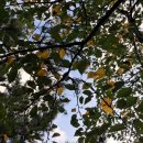 게스트하우스젠 이미지