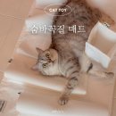 피펫 | 고양이 장난감 플러피펫 숨바꼭질매트 내돈내산 추천
