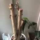 서초자이아파트 이미지