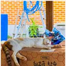 가리산필례펜션 이미지