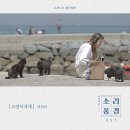 무명화가의 집 | 나무와 고양이가 있는 제주도 무명화가의집게스트하우스 후기