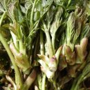 회석농장 이미지