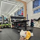 백짐 (100GYM) | 화곡PT 초보자도 쉽게 재미있게 운동을 즐길 수 있는 &#34;백짐PT 100GYM&#34;