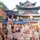 사진 보고 강원도인지 의심했어요" 여행 고수들이 아껴둔 비밀 명소 이미지