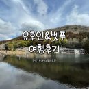 우주카정비 | 30개월 아이랑 떠난 유후인/벳푸 여행 솔직 후기 | 유후인 버스투어, 후쿠오카 투어, 규슈여행 완벽가이드