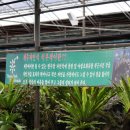 우정렌트카 이미지