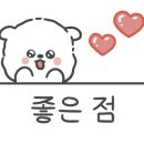 퍼피스테이 온수수영장 애견펜션 이미지