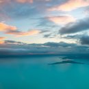 벌떼유통 이미지