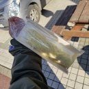 큰사랑빵굼터 이미지