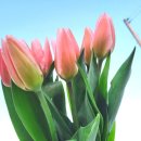 인하농장 이미지