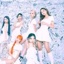 트라이비 카카오 검색결과