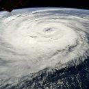 태풍이네 이미지