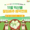 배추몰