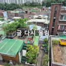 중앙동227 이미지