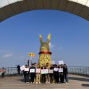 달서구자원봉사센터 | 제21회 대한민국자원봉사센터대회 「자원봉사의 활기, 대한민국의 온기를 만들다」 현장스케치!