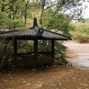 웰빙아지트 네이버블로그