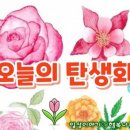 오늘의 탄생화(2월2일) 모과(Chaenomeles) 이미지