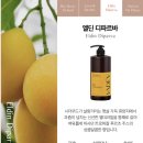 디프레쉬뷰티 | 비듬문제 ,두피가 가려울 때 추천 미용실 단백질 샴푸 바디브 미오 샴푸 베이베리 오차드향 후기