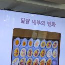 단감빵체험농장 | 부산 근교 아이들과 가볼 만한 곳 🐣 배누리 교육농장 체험 후기 (빵 만들기 + 병아리 부화 + 동물 체험)