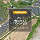 태영에너지 태양광발전소 이미지