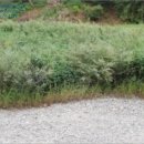 은하면 포항마을회관 이미지