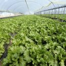 진월농장 이미지