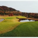 삼성골프클럽 이미지