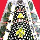 정진고양 이미지