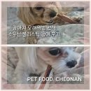 골든베니 이미지