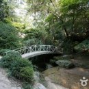 자연석식물원