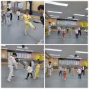 키즈 펀 태권도장 이미지