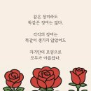 가나다 - 성남시 수정구 | 가나다