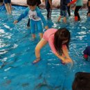 매미농장 이미지