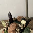 컨포지움 이미지