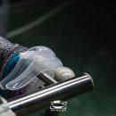 비슬로528로 이미지