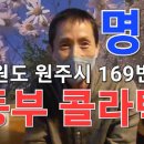 영동콜라텍 이미지