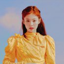 니피 이미지