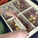 한림농원 이미지