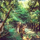 G140 이미지