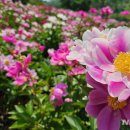 함박공원 입구 이미지