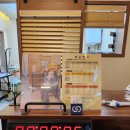 라비쉬독 이미지