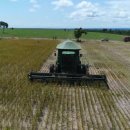 우대농장 이미지