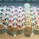 초콜릿팩토리 이미지