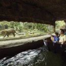 리버퀘스트 이미지