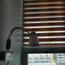 드림연합외과의원 이미지