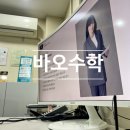 난우초등학교 | 관악구 미성중 수학학원 3일 무료 체험 후기