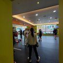 킹콩복싱아카데미 이미지